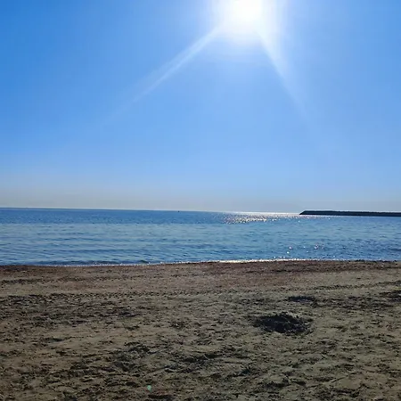 Sotis Faleza Nord